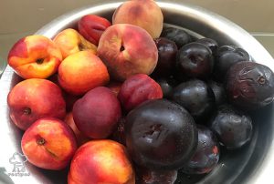 Prepare the fruits plums nectarine and peaches
